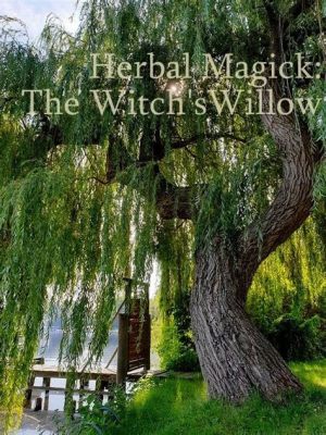  The Witch of the Weeping Willows – A Tale of Enchantment, Betrayal and Resilience From 7th Century Italy